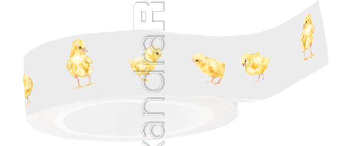 Alexandra Renke - Washi Tape - Little Chicks