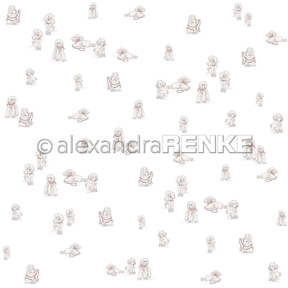 Alexandra Renke - Poodle - Paper - 12x12"