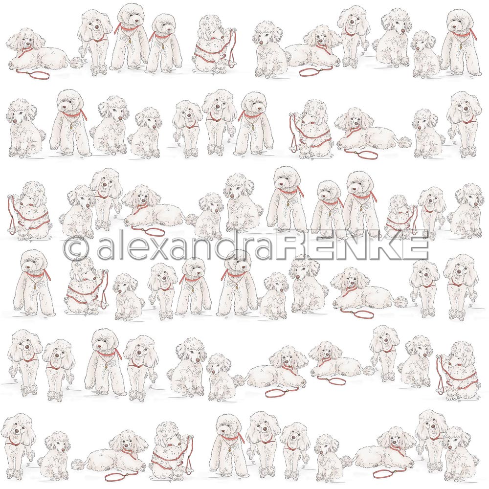 Alexandra Renke - Poodle in the row  - Paper -  12x12"
