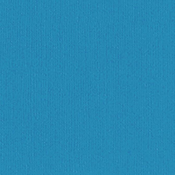 Bazzill Canvas 12 x 12 Pauly Poo blå kartong