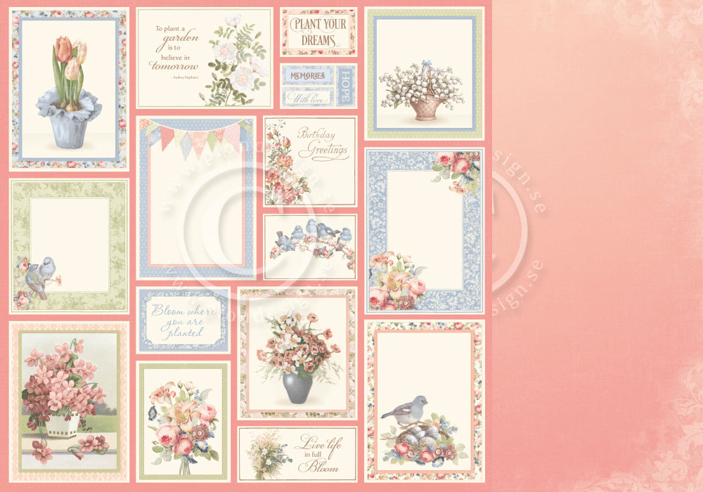 Pion Design - Garden of Hope - Rosy day - 12 x 12"