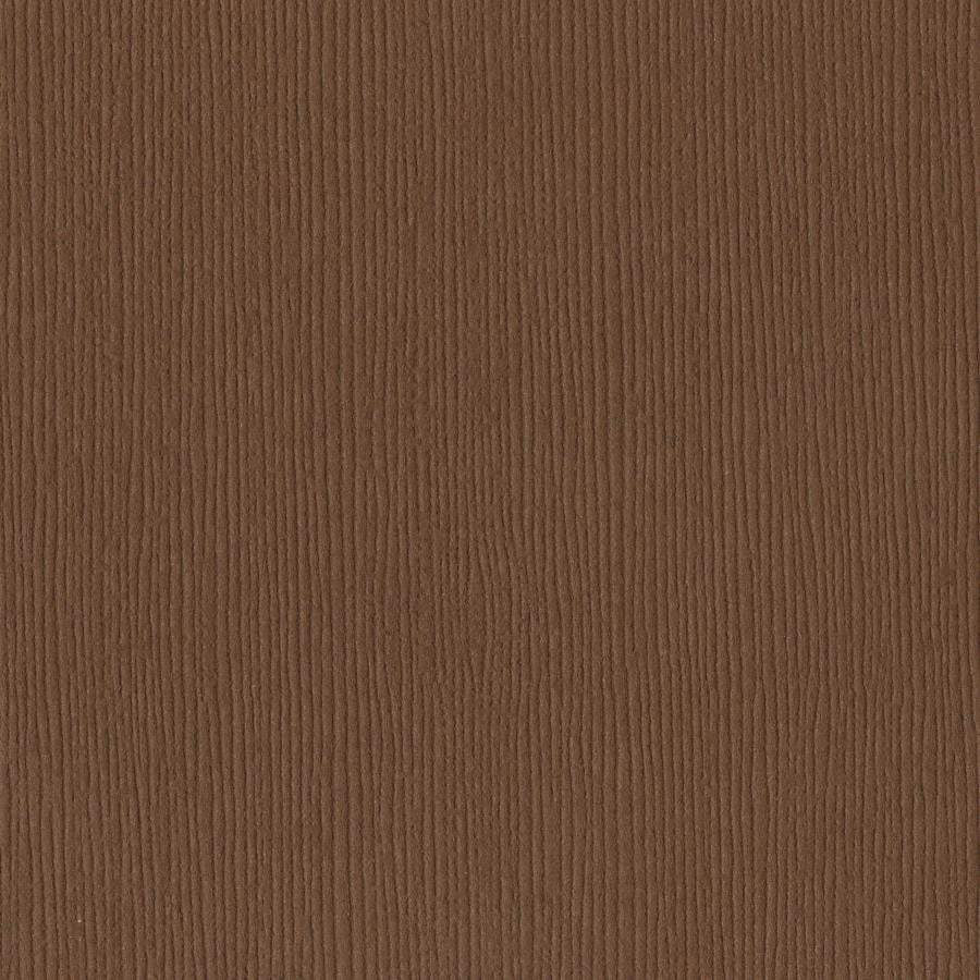 Bazzill Grass Cloth 12 x 12 Truffle brun kartong