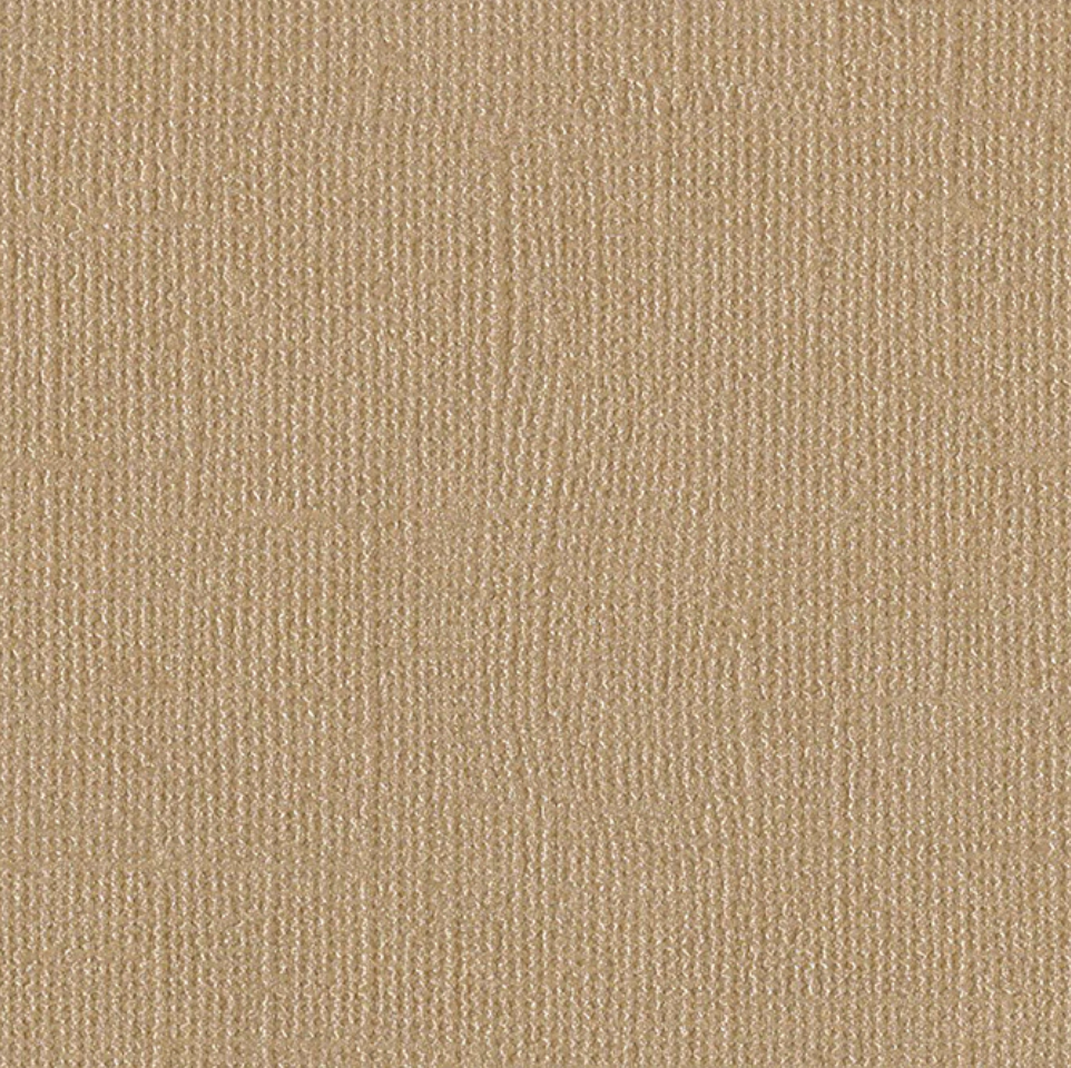 Bazzill Bling Blank Check 12 x 12 beige kartong