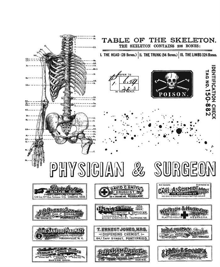 Tim Holtz Collection - Cling Stamps - Examination