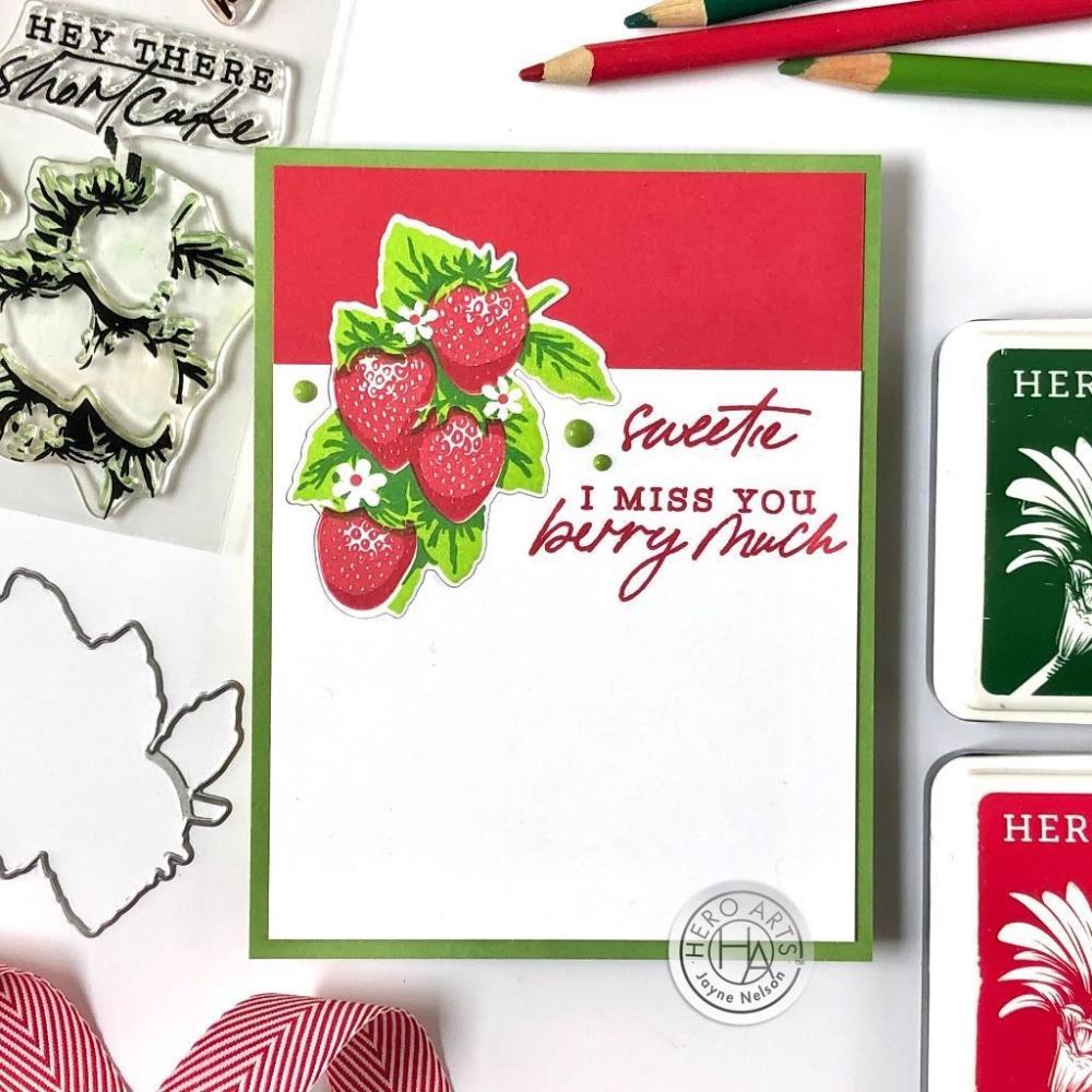 Hero Arts - Clear Stamp - Color Layering Strawberries