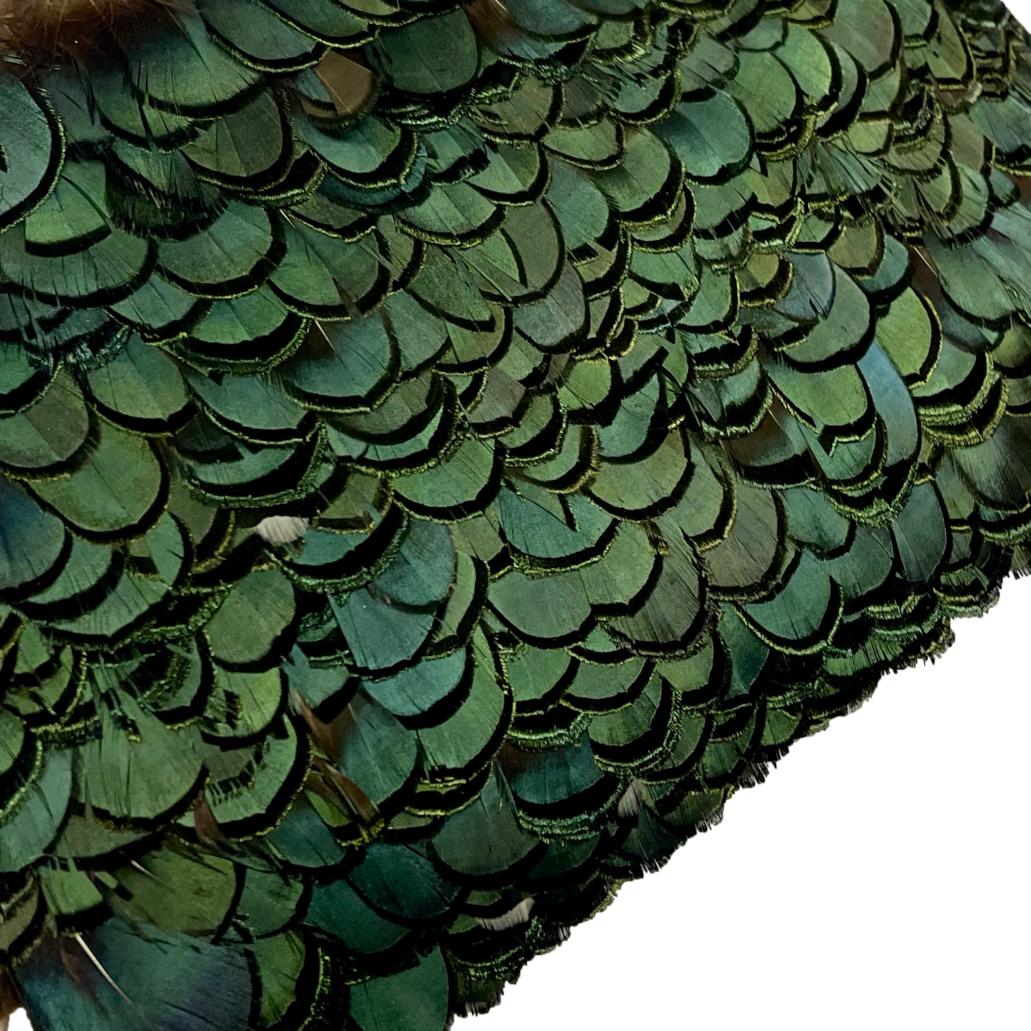 Bånd - Grønne fjær - Metervis