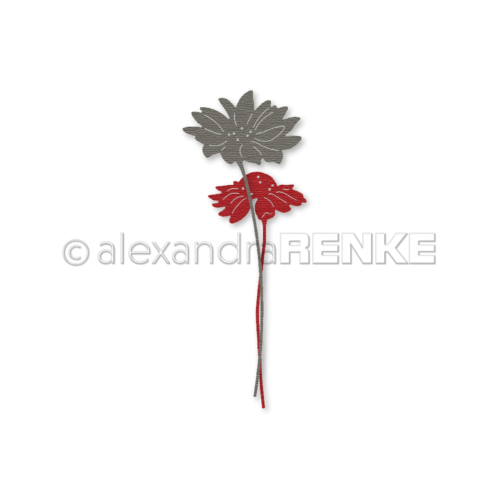 alexandra-renke-dies-margerit-par