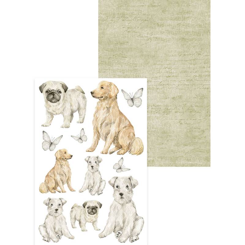 P13 - PETS -Mini Creative Paper Pad - 6 x 4"