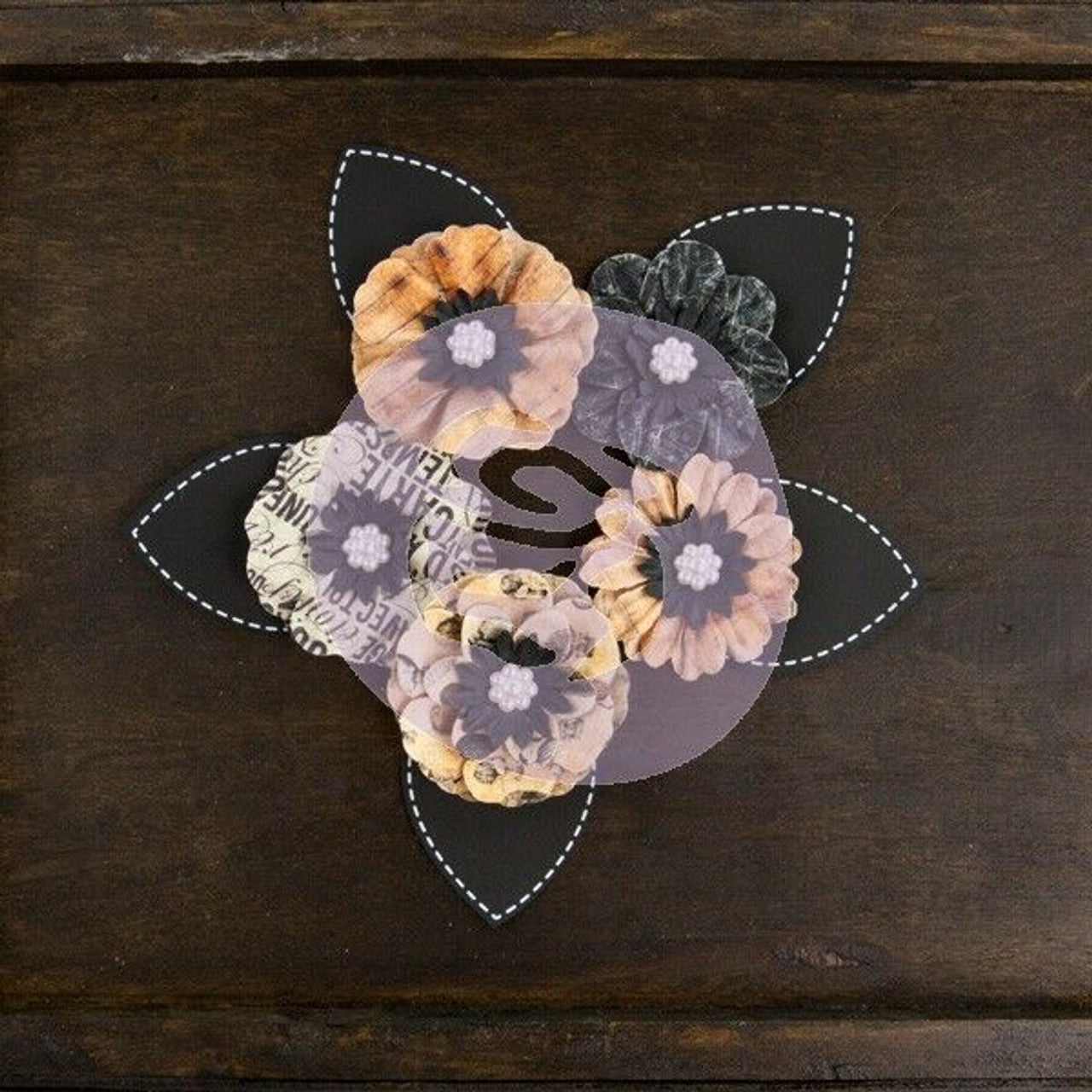 Prima - Cartographer - Voyager Flowers