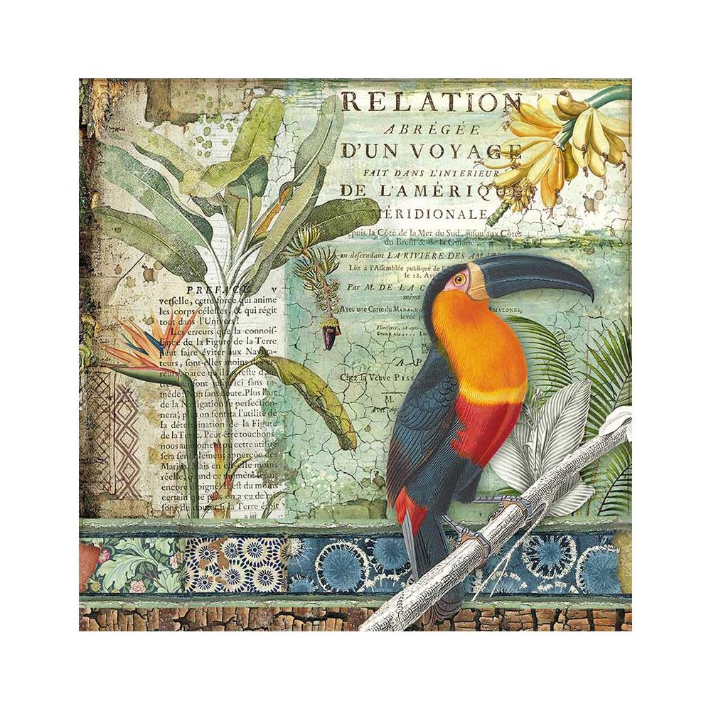 Stamperia - Amazonia - Toucan -    12 x 12"