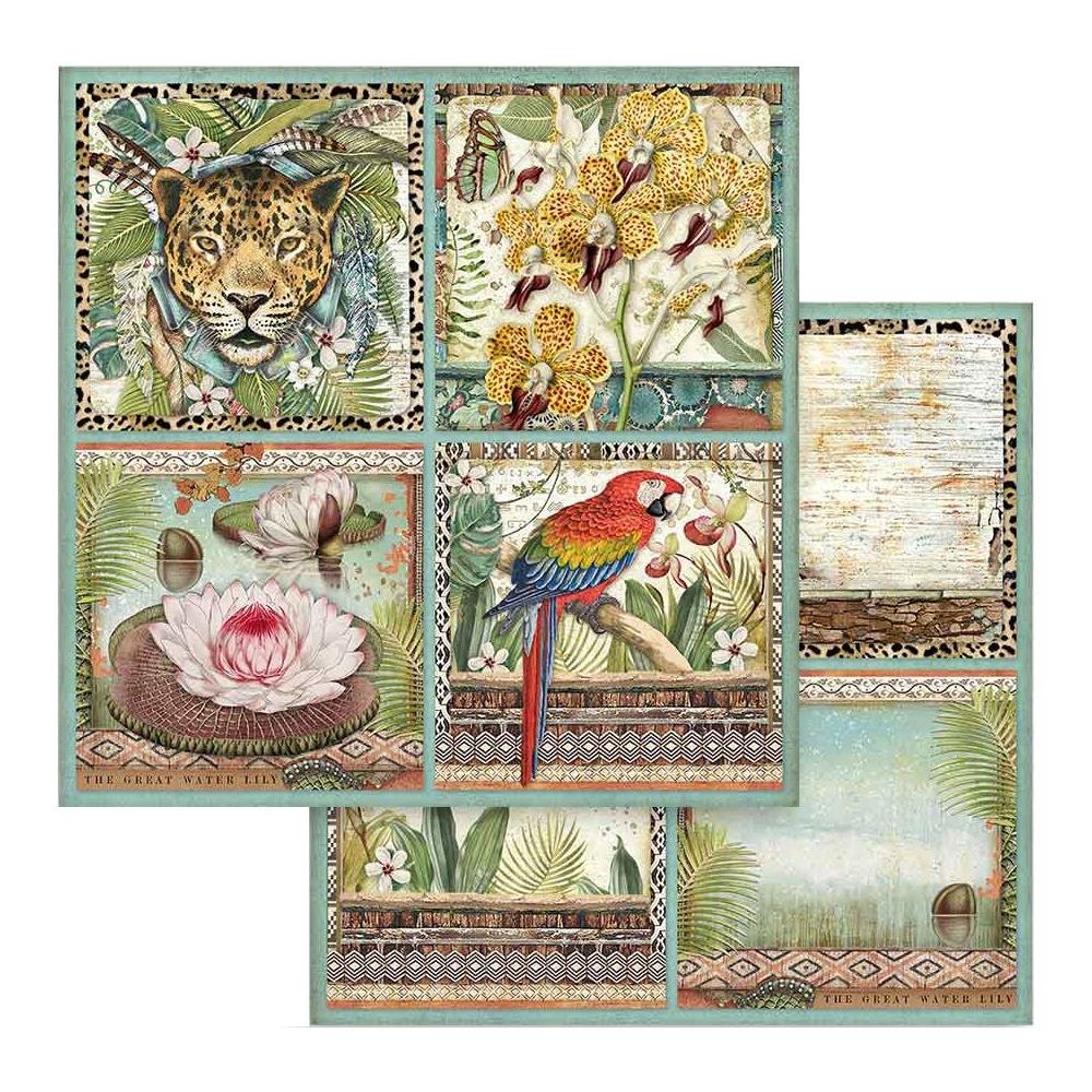 Stamperia - Amazonia - Cards -    12 x 12"