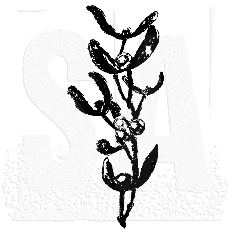 Tim Holtz - Wood Mounted Stamp - Mistletoe Sprig