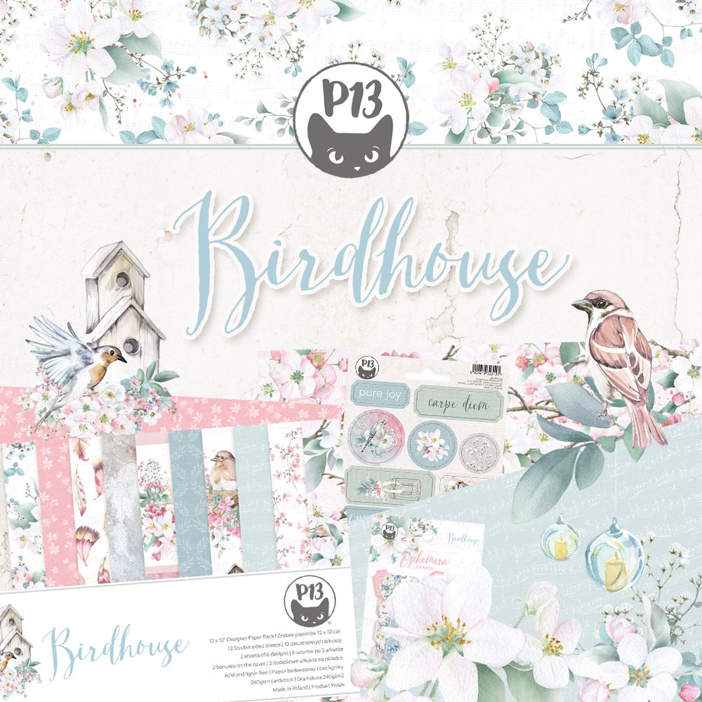 Match til Birdhouse - P13