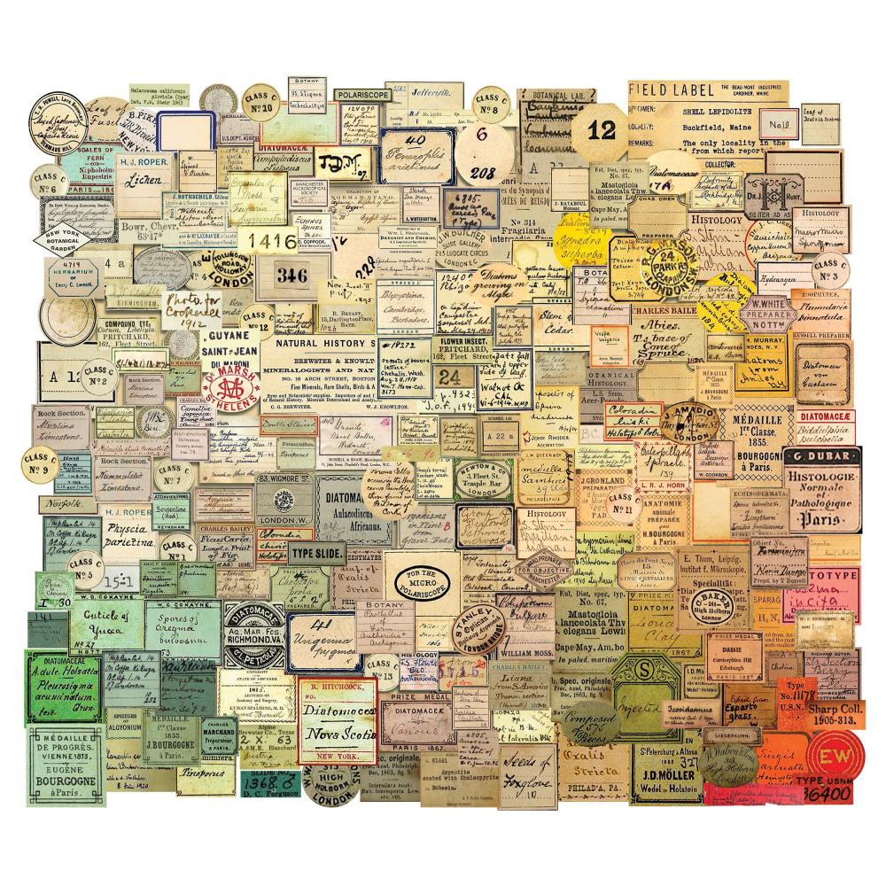 Tim Holtz - Idea-Ology - Ephemera Pack - Snippets - Curator
