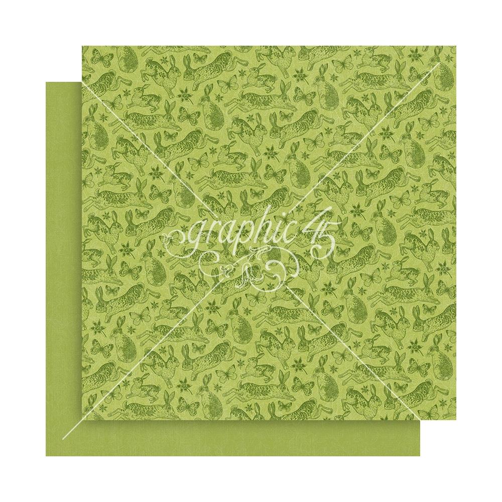 Graphic 45 - Spring is in the air - Patterns and Solids Paper Pad  12 x 12"