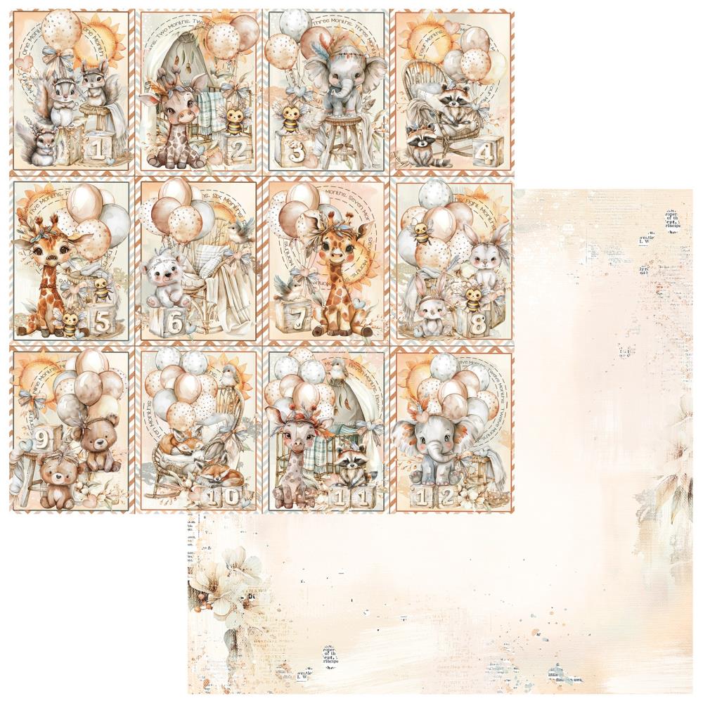 49 and Market - Little Dreamer Collection -   12 x 12"
