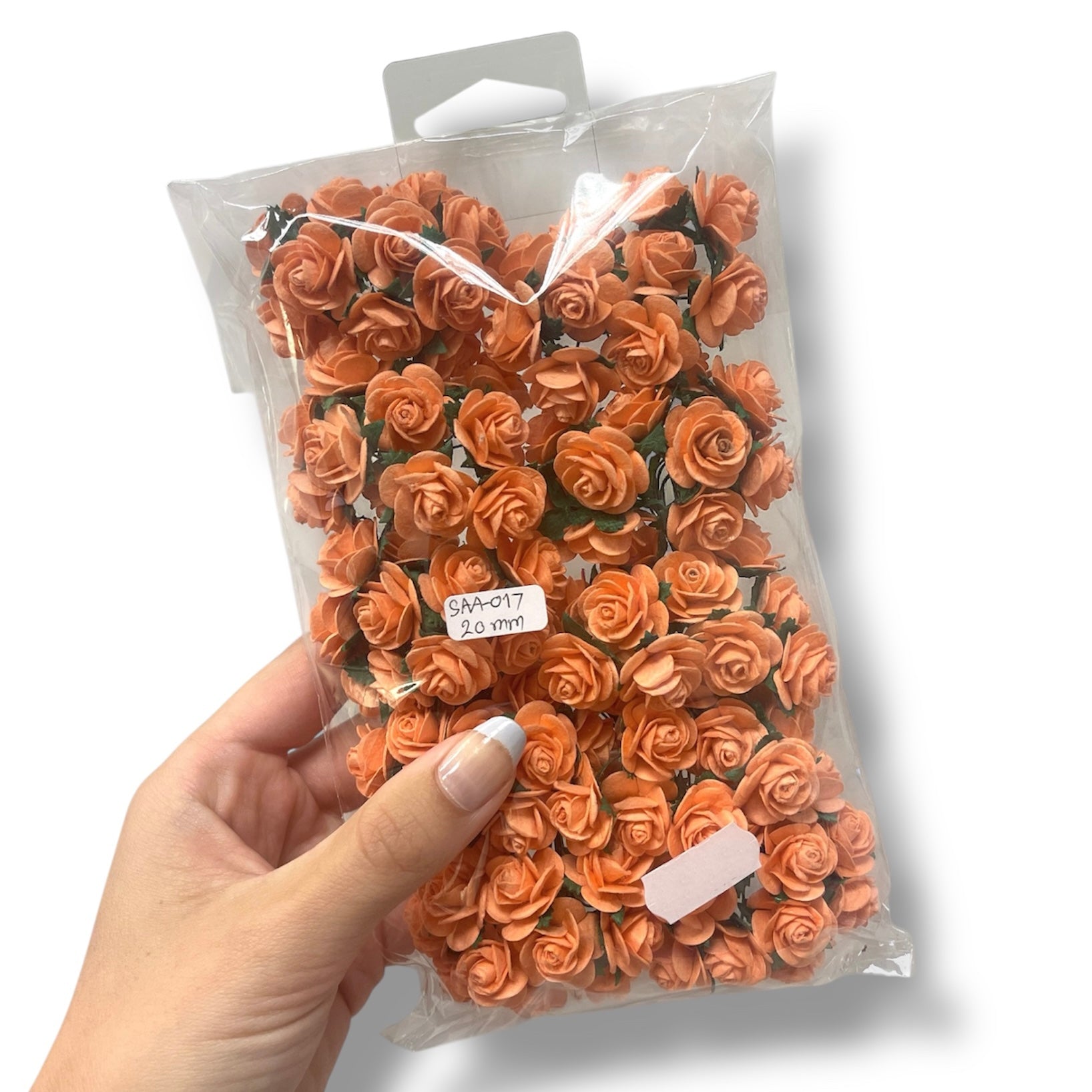 Wild Orchid - Roser 20 mm - Peach
