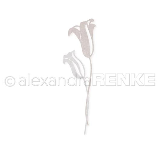 Alexandra Renke - Dies -  Big calyx flowers