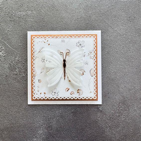 Simple and Basic - Dies - 10 x 10 Squares - Scalloped edges