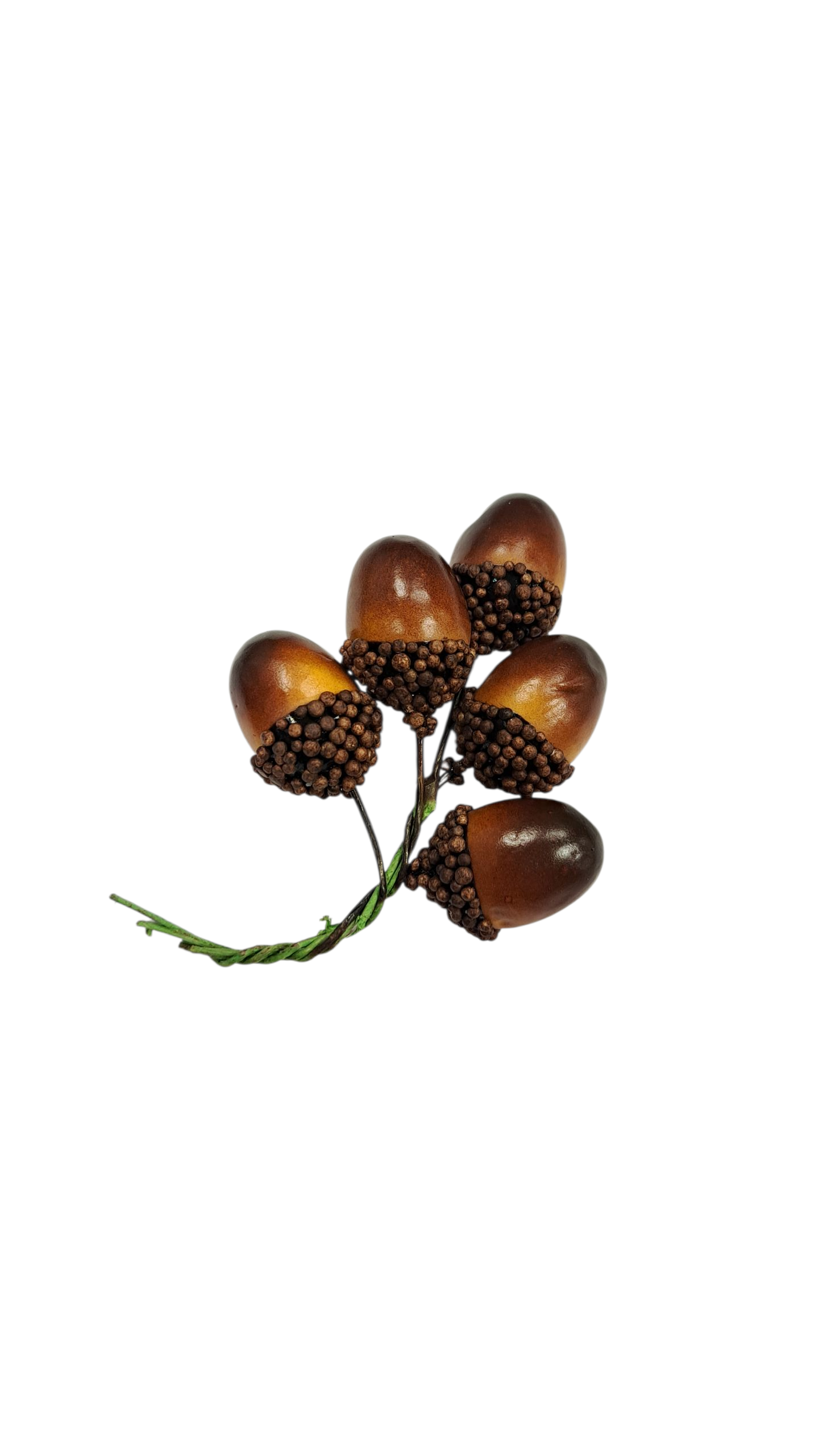 Big Acorns - Bunt med store eikenøtter i plast