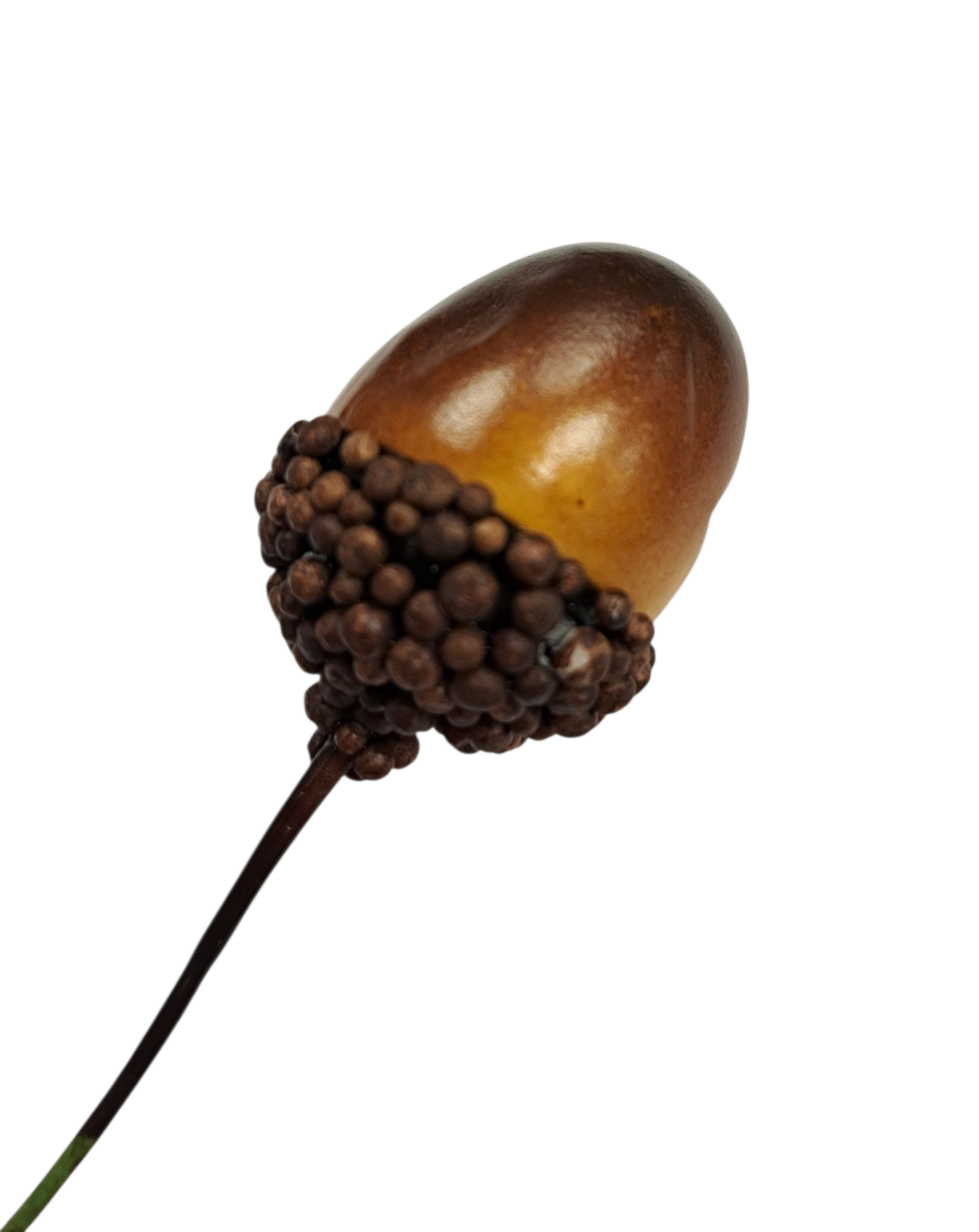 Big Acorns - Bunt med store eikenøtter i plast