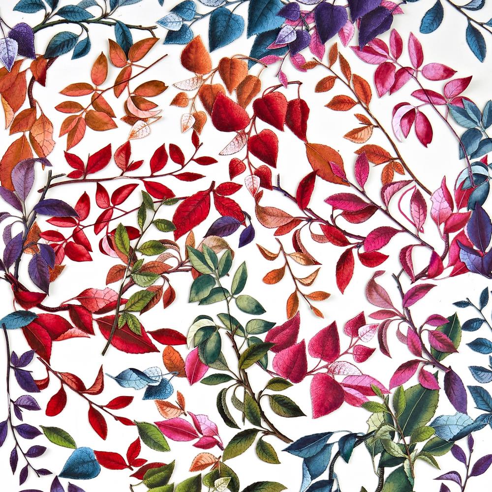 49 and Market - Spectrum Gardenia - Leaves - Laser Cut Outs