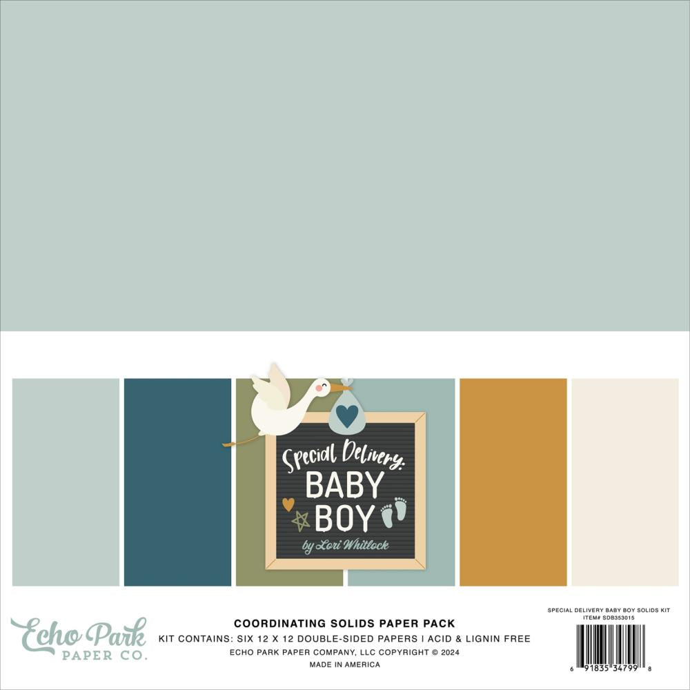 Echo Park - Special Delivery Baby Boy - Solids  -    12 x 12"