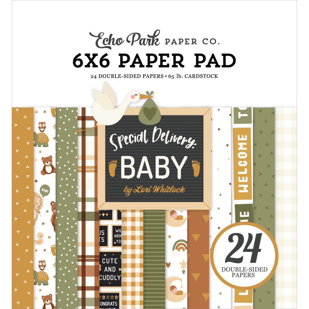 Echo Park - Special Delivery Baby - Paper Pad -    6 x 6"