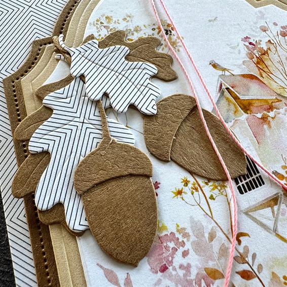 Simple and Basic - Dies - Acorns