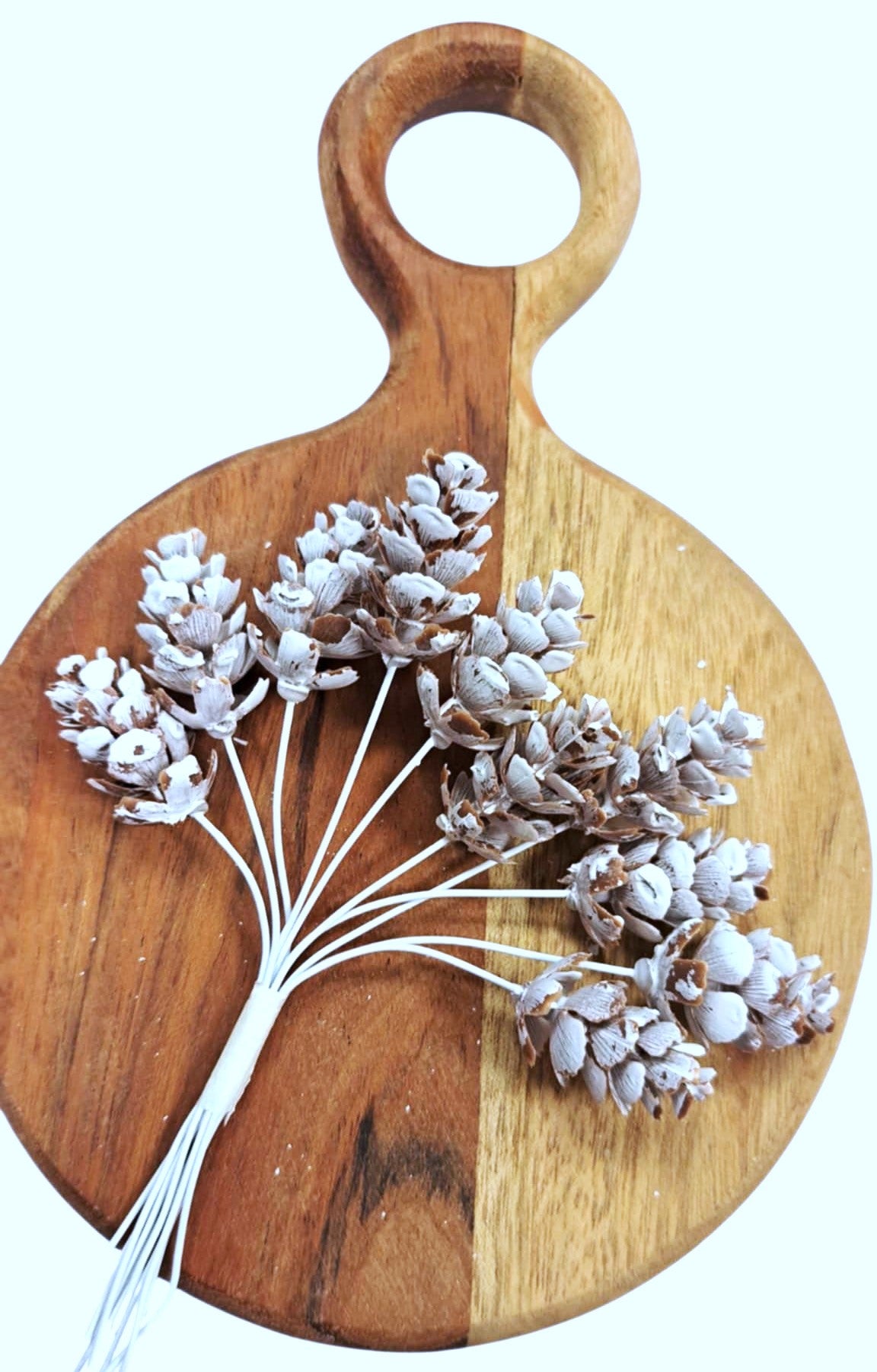 Kongler - Bunt med hvite kongler