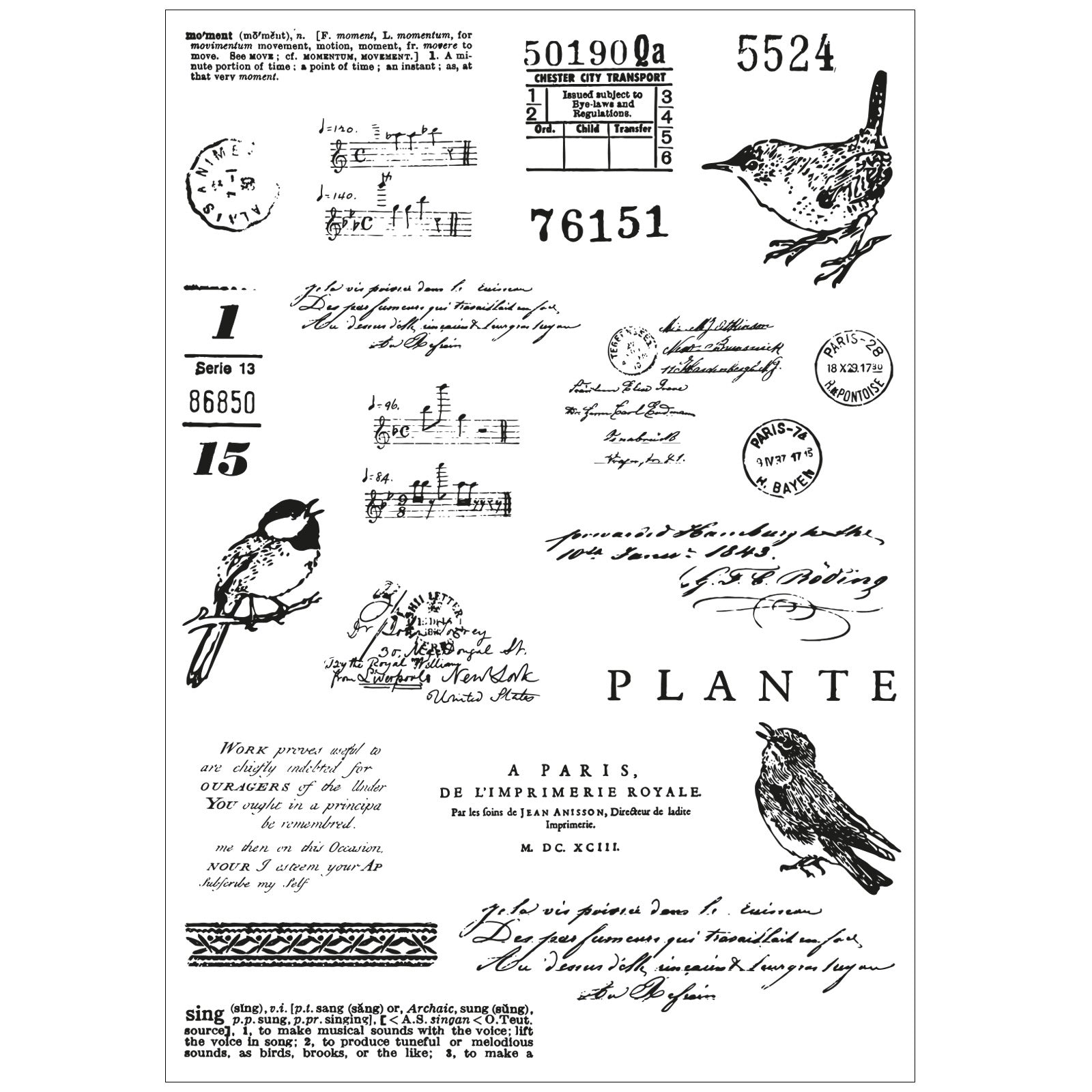 Sizzix - 49 & Market - Framelits dies & clear stamp - Bird Song