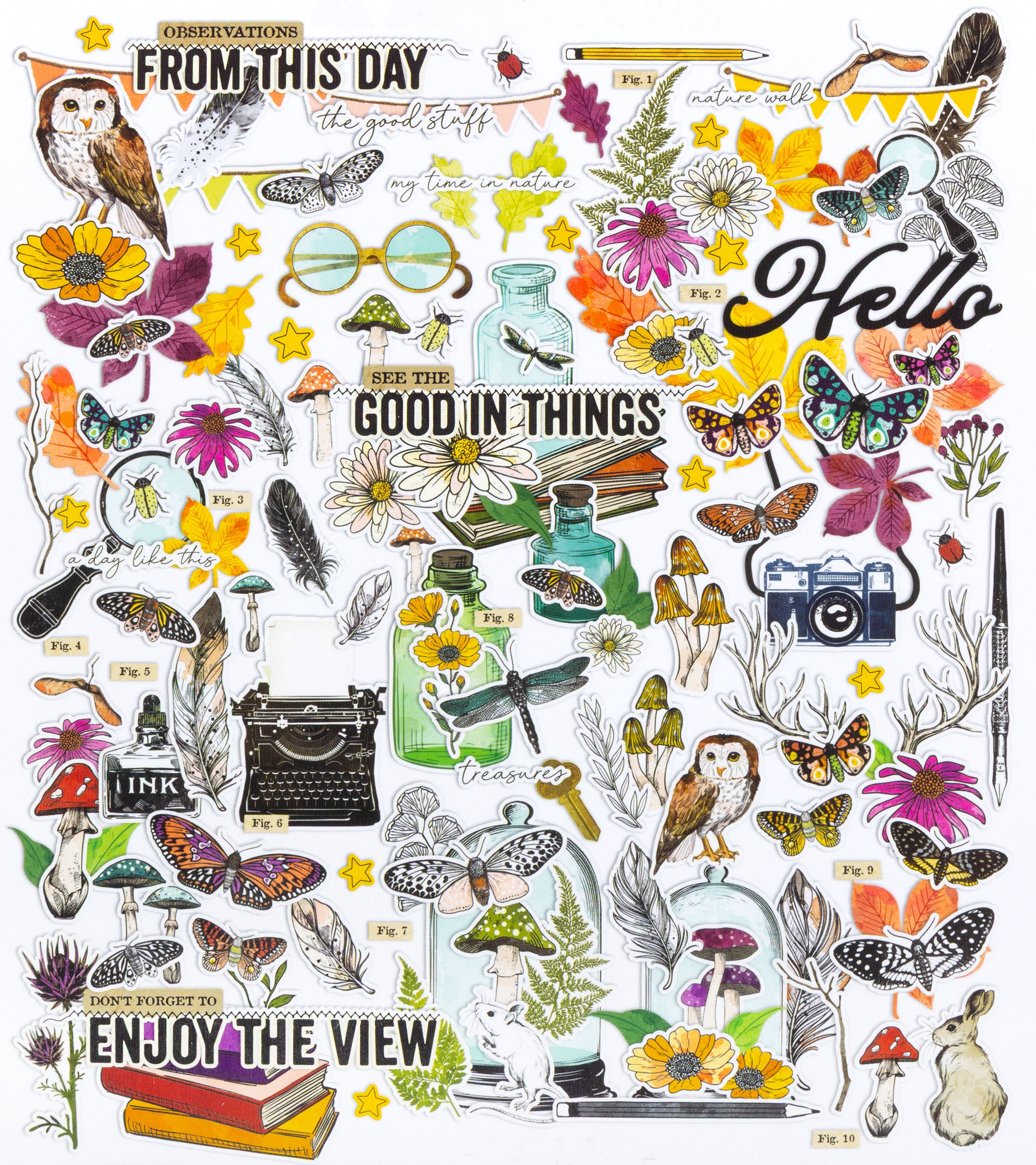 49 and Market - Curiosities in Willow Grove - Icons and titles ephemera set