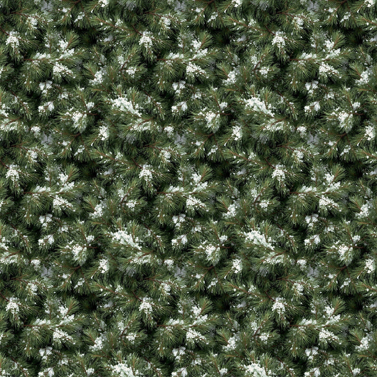 49 and Market - Timber and Tweed - Cabin Escape -  12 x 12"