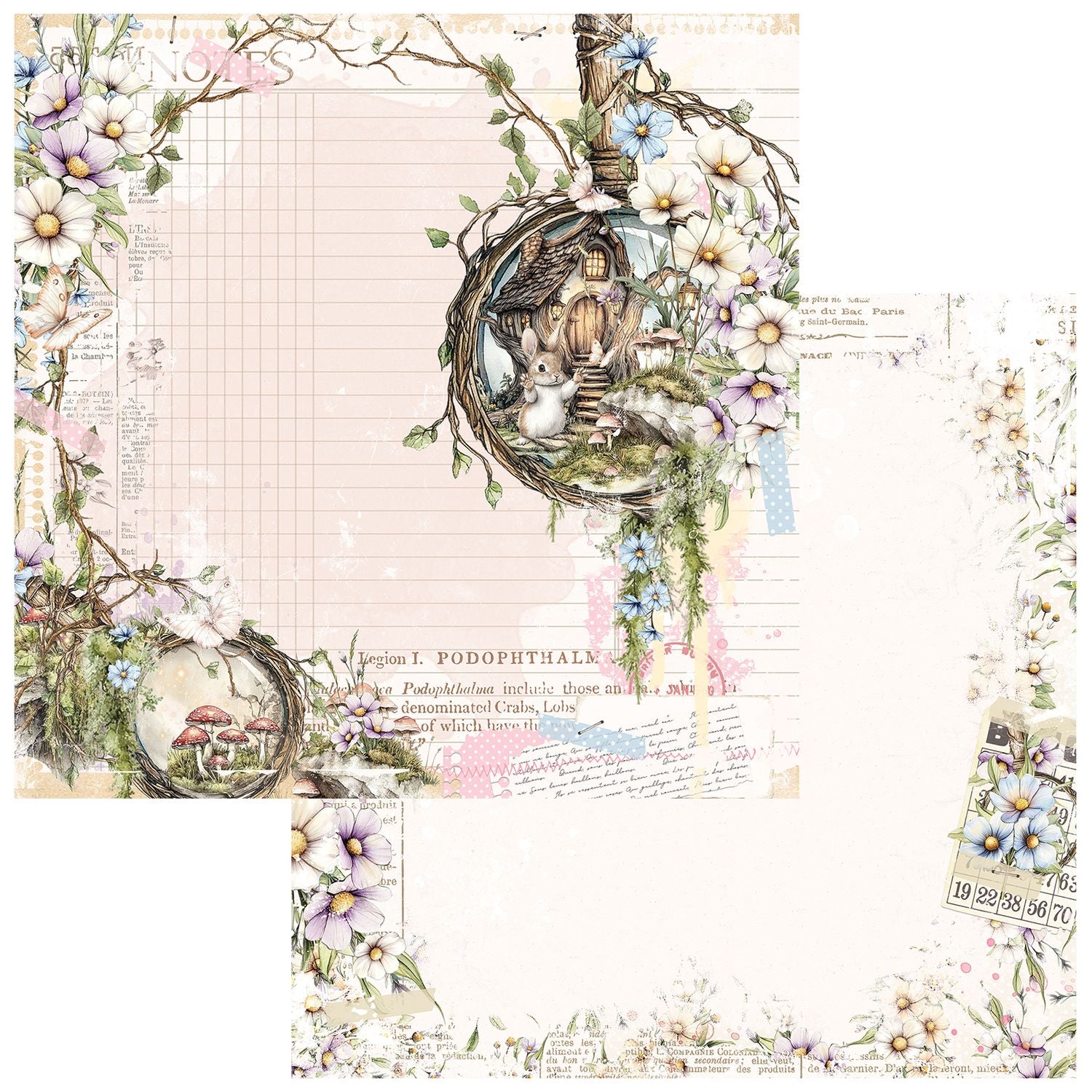 49 and Market - The Looking Glass - Collection Pack 12 x 12"