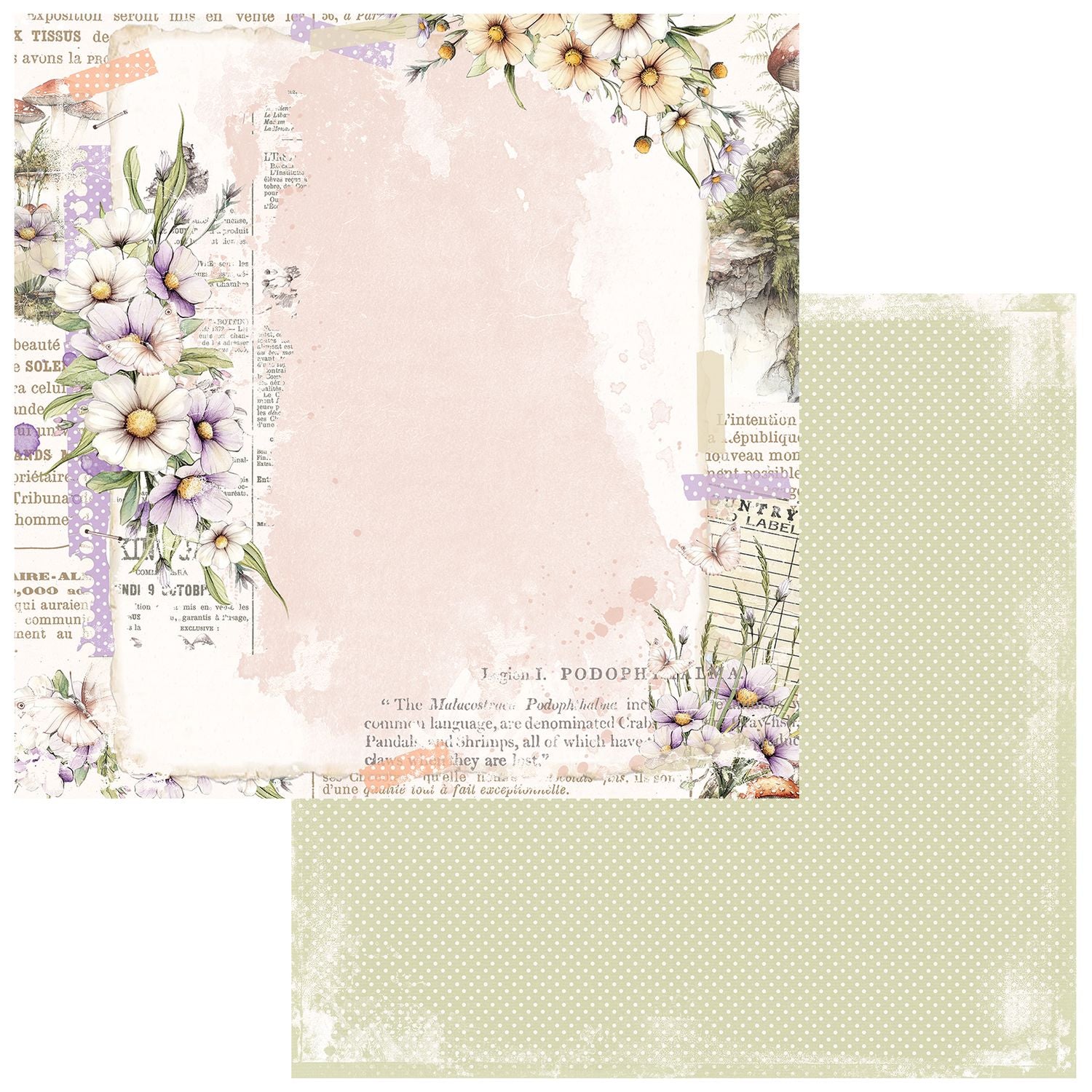 49 and Market - The Looking Glass - Collection Pack 12 x 12"