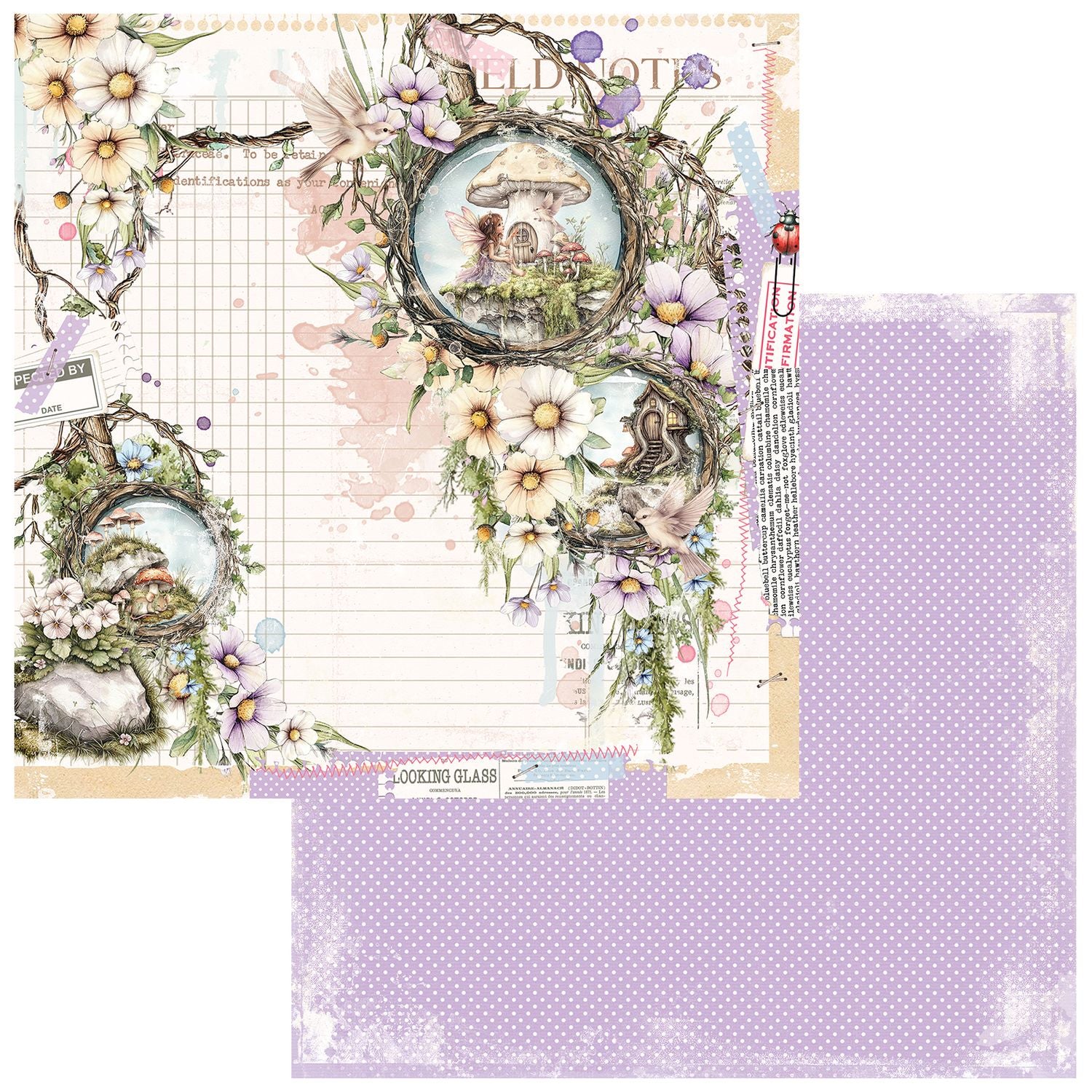 49 and Market - The Looking Glass - Collection Pack 12 x 12"