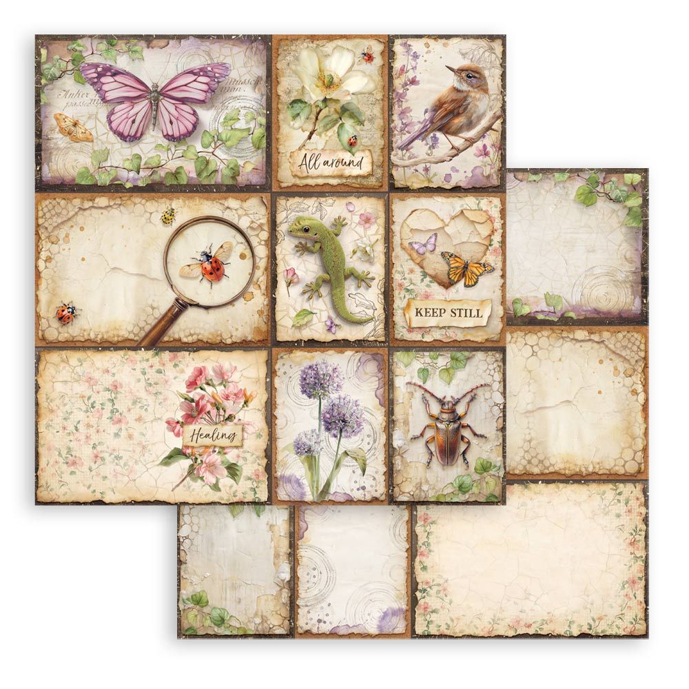 Stamperia - All Around  - Mixed Cards paper -  12 x 12"