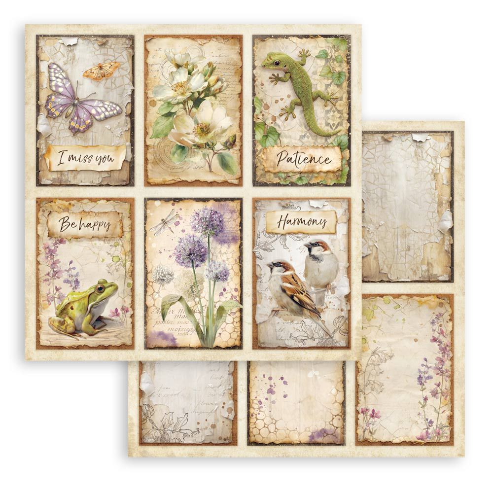 Stamperia - All Around  - 6 Cards paper -  12 x 12"