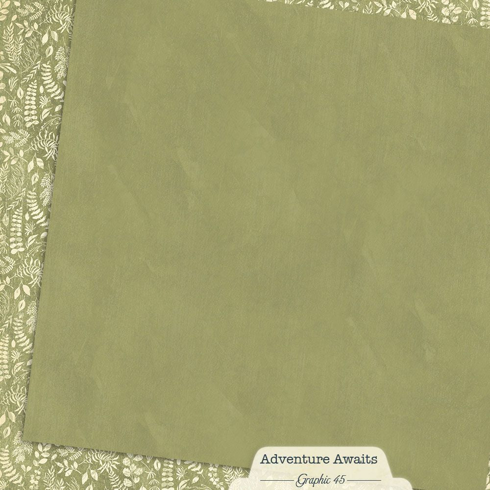 Graphic 45 - Adventure Awaits - Fern Green - 12 x 12"