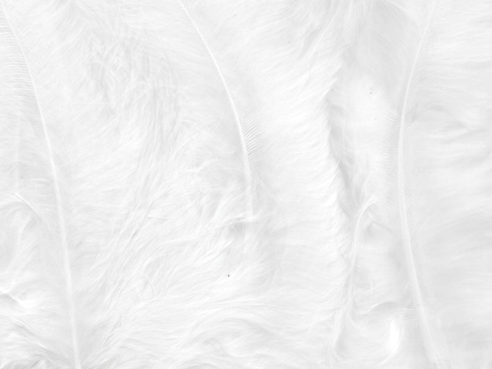 Marabou - Fjær - Hvit - 15 stk