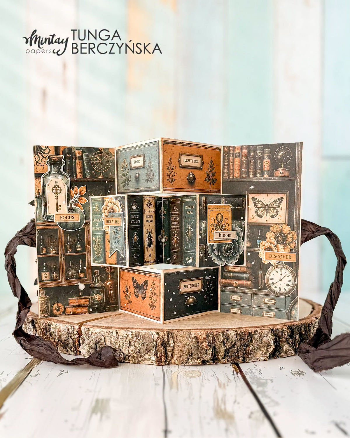 Mintay Papers - Cabinet of Curiosities 12x12 Inch Collection Set