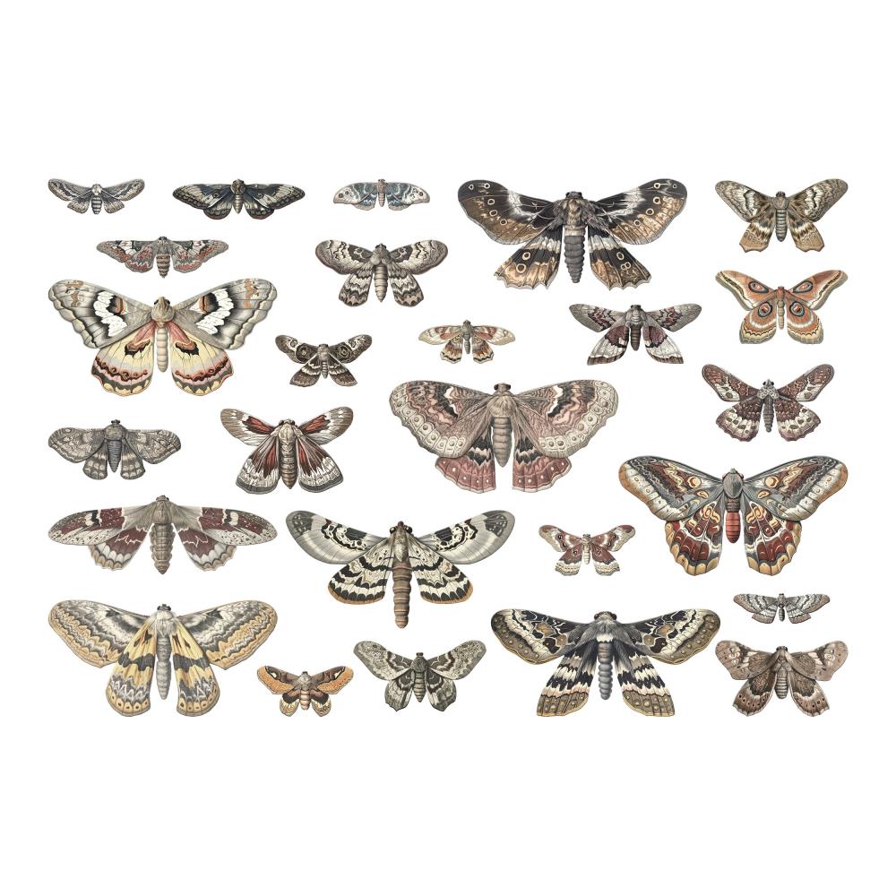 Tim Holtz - Idea-ology - Halloween 2024 - Transparencies Moths