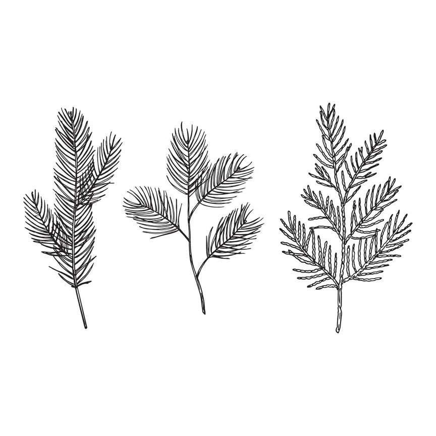 Spelbinders - BetterPress plate - Evergreen Branches