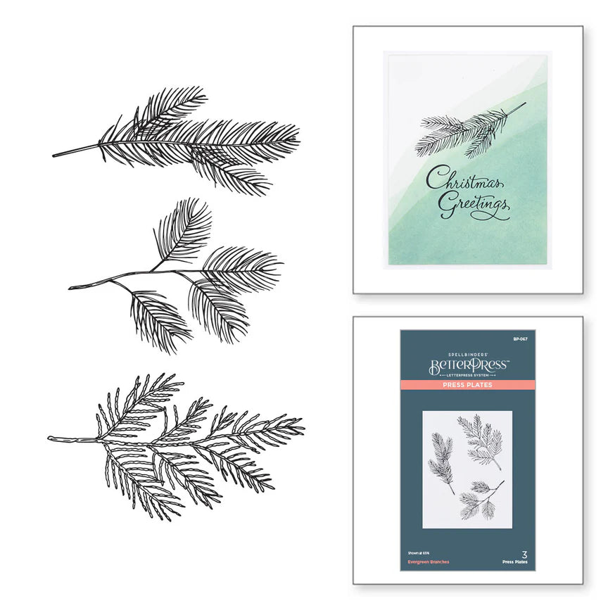 Spelbinders - BetterPress plate - Evergreen Branches