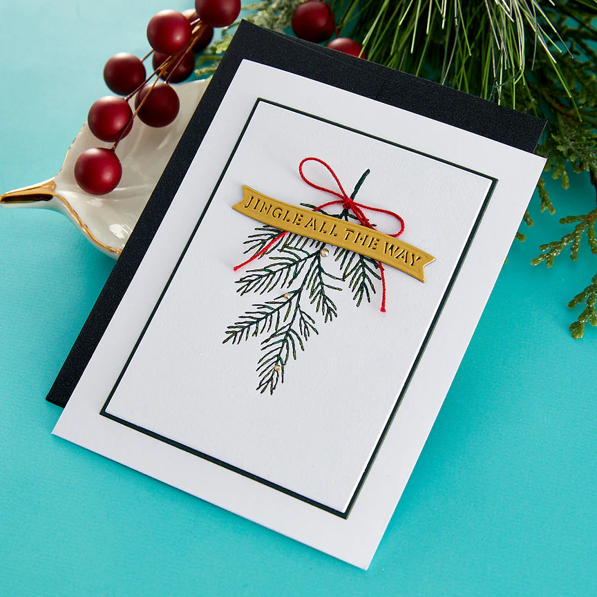 Spelbinders - BetterPress plate - Evergreen Branches