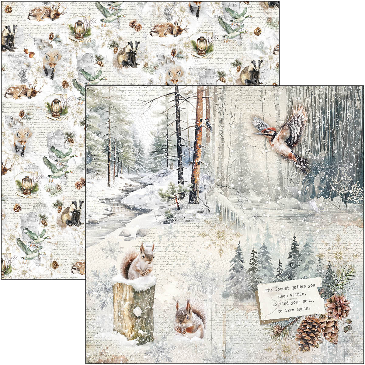 Ciao Bella - Forest Tales - Paper Pack  (12 ark)  12 x 12"