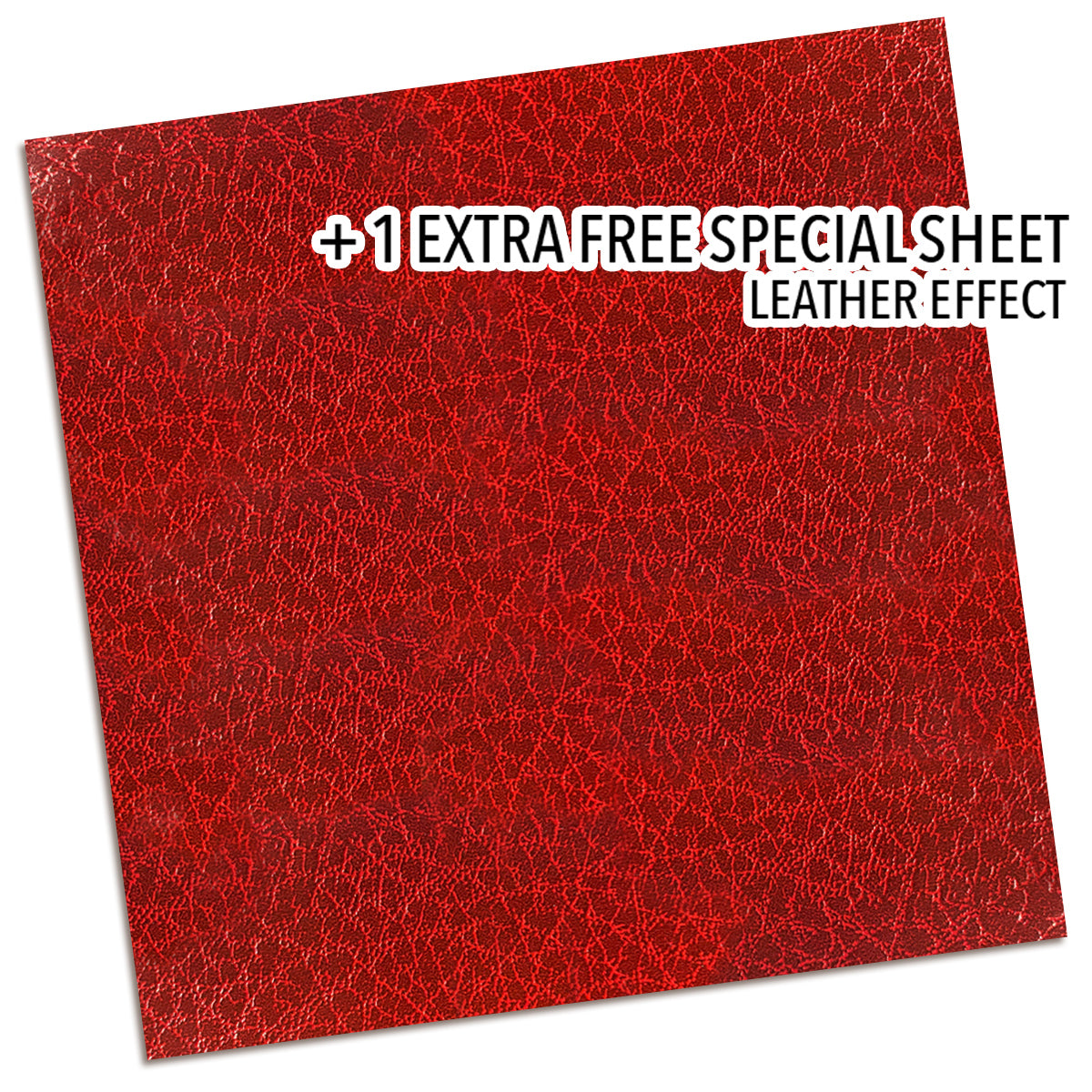 Ciao Bella - Book Lovers - Paper Pack  (12 ark)  12 x 12"