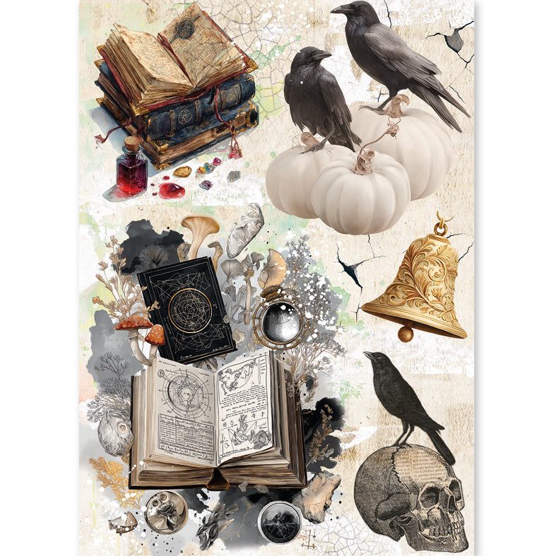 Ciao Bella - The Witch's Grimoire -  Rice Paper Mixed - A5