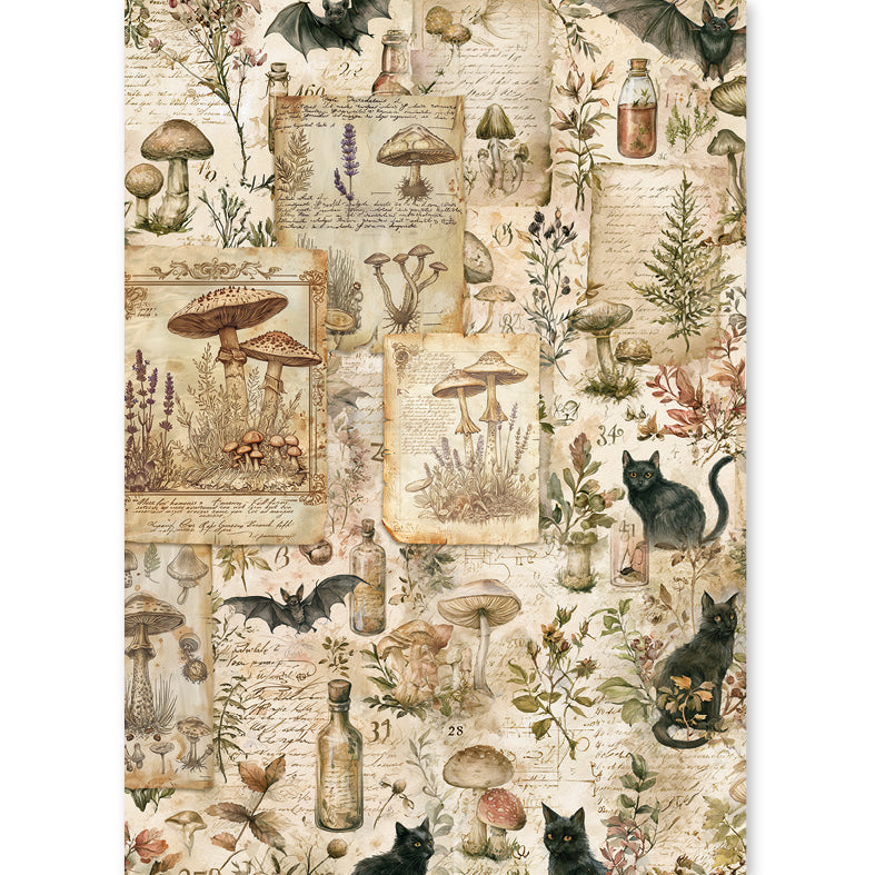 Ciao Bella - The Witch's Grimoire -  Rice Paper Mixed - A5