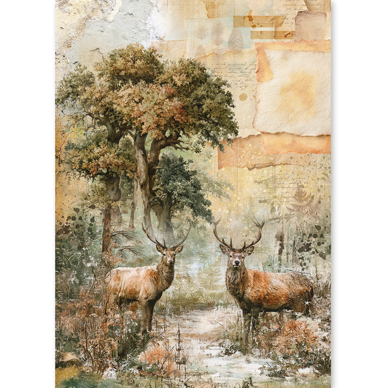 Ciao Bella - The Nature Journal -  Rice Paper Mixed - A5